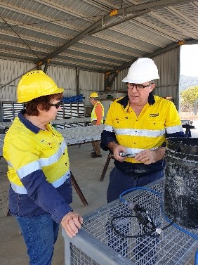 Plate 3 Justine Thorp and Kevin MacNeill discussing ore samples, Mt Carbine Mine.jpg