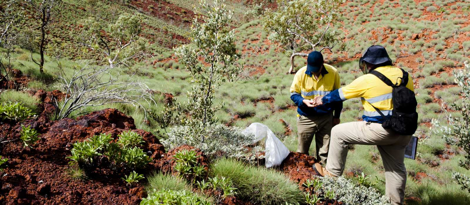 geologists in the field