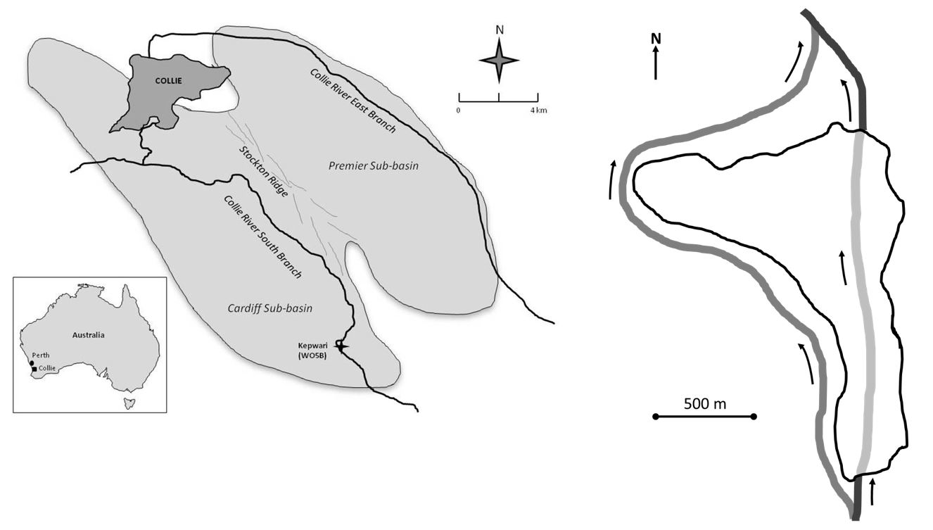 Figure 1. Location of Lake Kepwari in Western Australia (left) and conceptual model of Lake Kepwari flow-through design (right) showing historical CRSB channel in black, previous river diversion in dark grey and flow through lake in light grey.