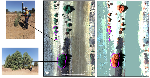 Photos showing examples of remote sensing outputs.