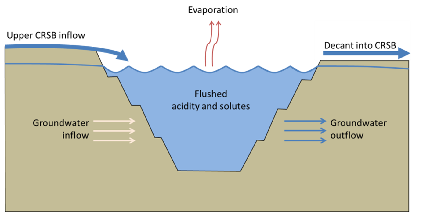 Figure 5. Conceptual model of Lake Kepwari following flow-through design showing AMD groundwater sources shown as pink arrows and alkaline-neutral surface water inflow and surface/groundwater outflows as blue arrows.
