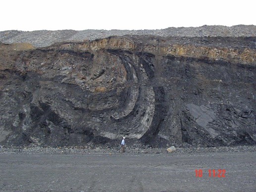 Coal Geology.jpg