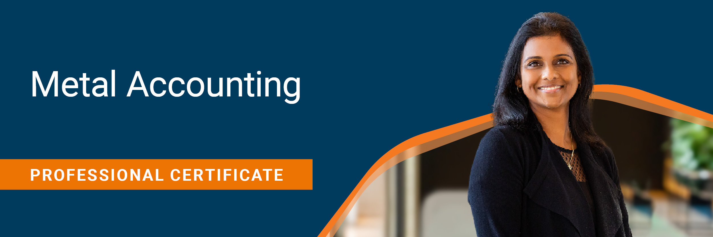 metal accounting banner.jpg